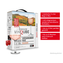 Vinqube Spätburgunder Rosé Baden 3 l mit wiederverwendbaren Kühlakku