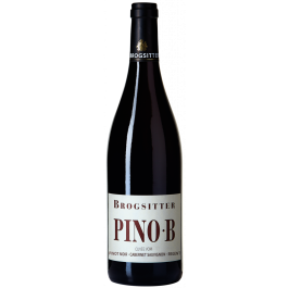 Brogsitter PINO·B Cuvée vom Pinot Noir, Cabernet Sauvignon, Regent