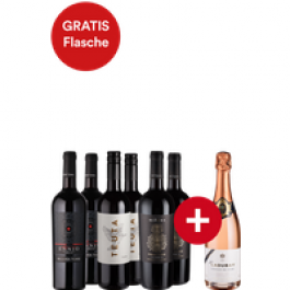 6er-Paket Primitivo Bestseller + Gratis Crémant - Weinpakete