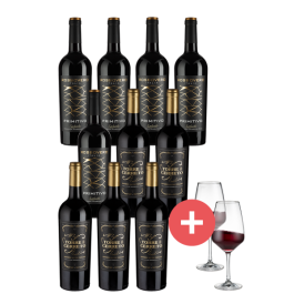 10er-Paket Rotwein-Klassiker + 2er-Set Schott-Zwiesel Taste Gläser - Weinpakete