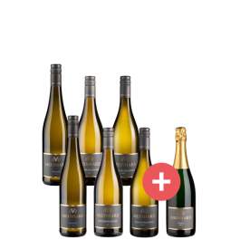 6er-Winzerpaket Meinhard + GRATIS Pinot Sekt Brut - Meinhard - Weinpakete