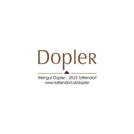 Dopler  Glühwein weiß 10Lt. 10,0 L