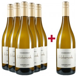 Habersack  5+1 Chardonnay Paket