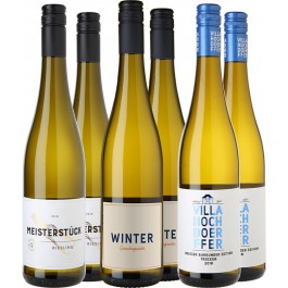 WirWinzer Select  Weißwein Favoriten Paket