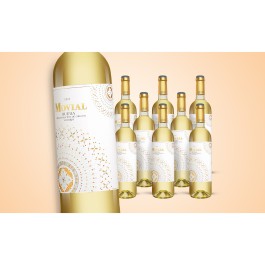 Movial Verdejo   6.75L 12.5% Vol. Weinpaket aus Spanien