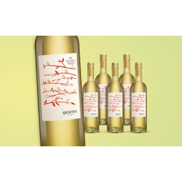 Quietus Verdejo   4.5L 12.5% Vol. Weinpaket aus Spanien