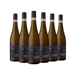 6 Flaschen Sauvignon Blanc 500 - Auserlesen - Fritz Walter -