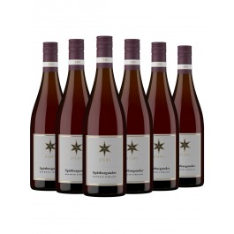 6 Flaschen Spätburgunder lieblich - Stern - Gutswein