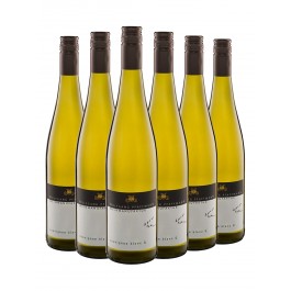 6 Flaschen Sauvignon Blanc feinherb - Weinmanufaktur Wolfgang Pfaffmann -