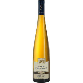 RIESLING GRAND CRU SAERING  - DOMAINE SCHLUMBERGER